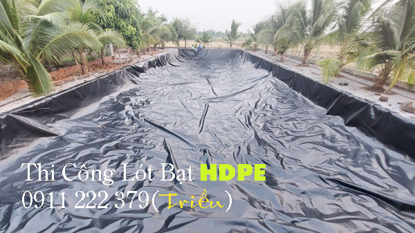 Bạt lót ao hồ tưới cafe