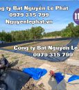 bat-lot-ao-ho-nuoi-tom-ca